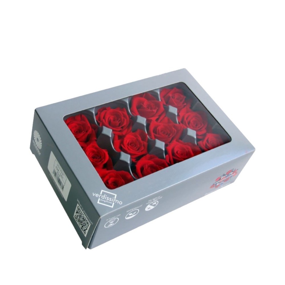 ROSA MINI CAPULLO ROJO BOX 12