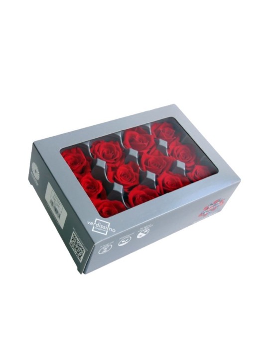ROSA MINI CAPULLO ROJO BOX 12