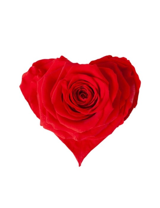 ROSA HEART SMALL RED