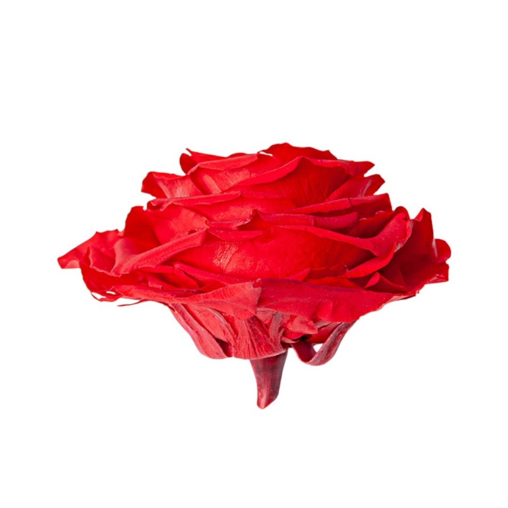 ROSA HEART SMALL RED