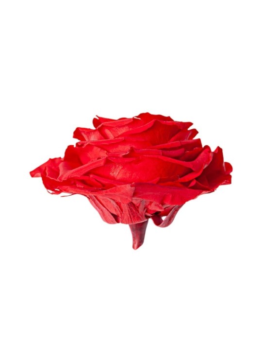 ROSA HEART SMALL RED