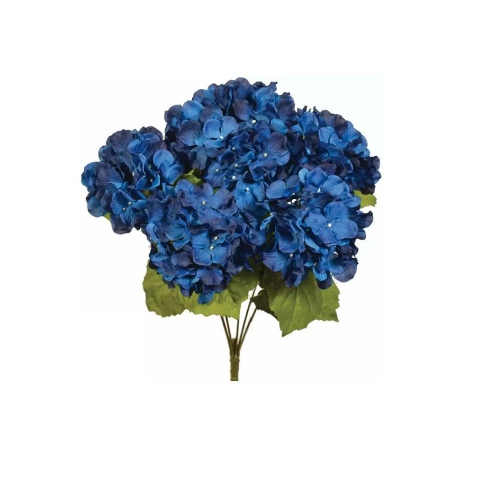 BUSH ORTENSIA X6 BLU