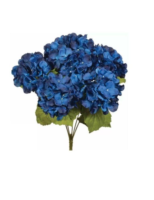 BUSH ORTENSIA X6 BLU