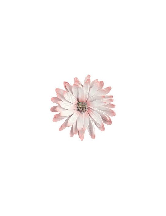 FIORE ROSA DA APPENDERE