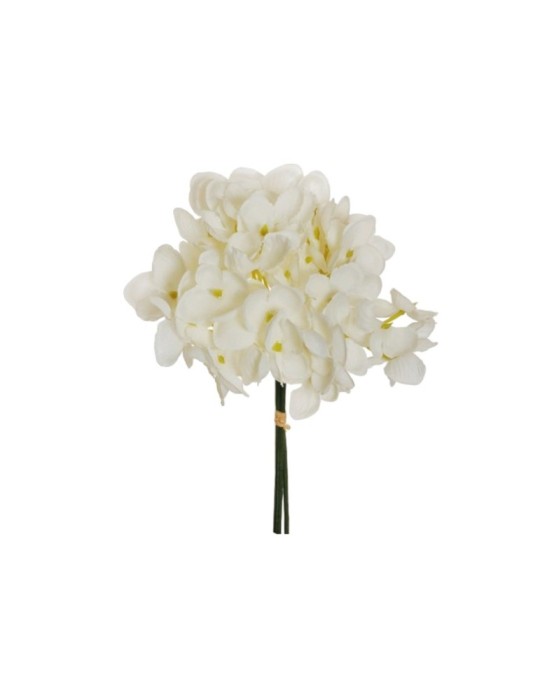 BUSH HYDRAGEA X3 CREAM