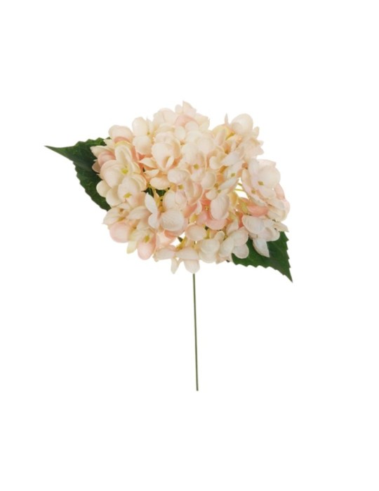 BUSH HYDRAGEA D.16 LIGHT PINK CREAM