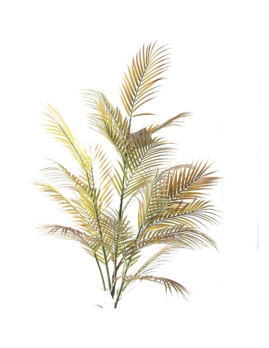 RAMO PALMA CM65X66X140 RED