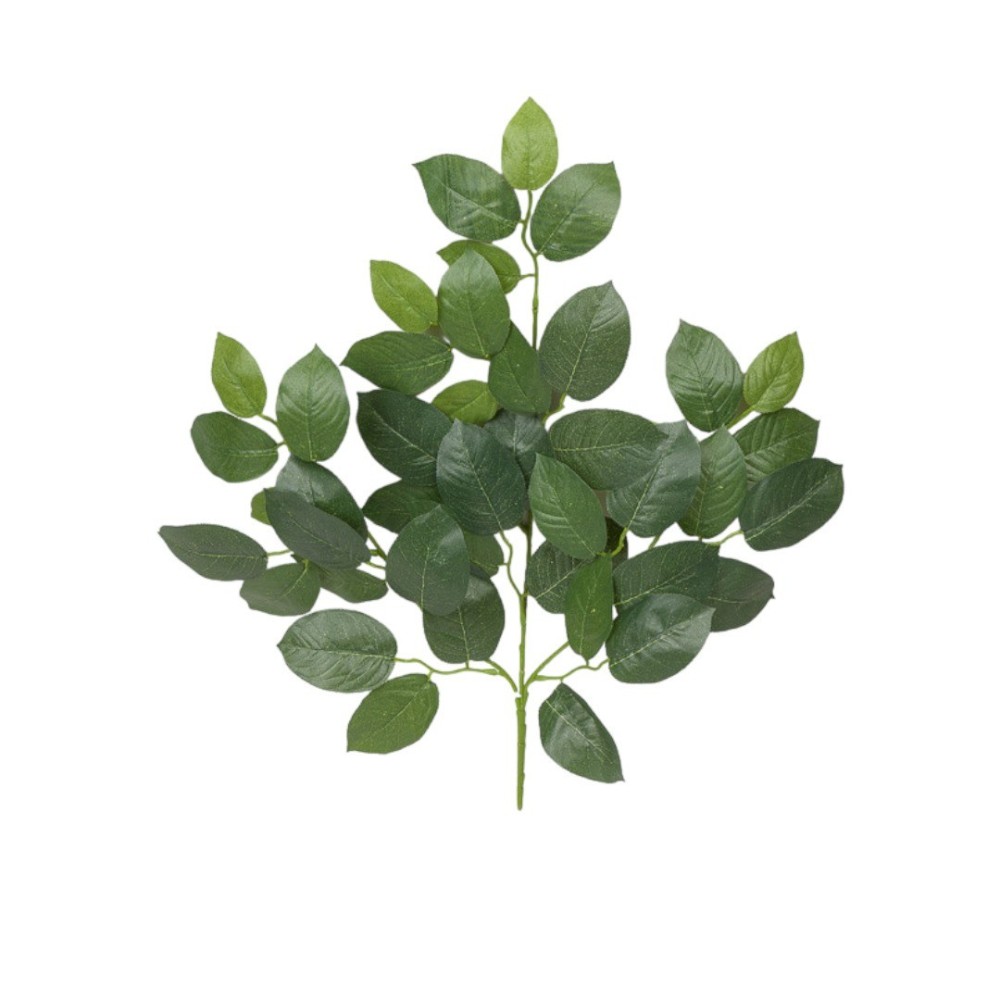 RAMO FOGLIE MELO CM60 GREEN