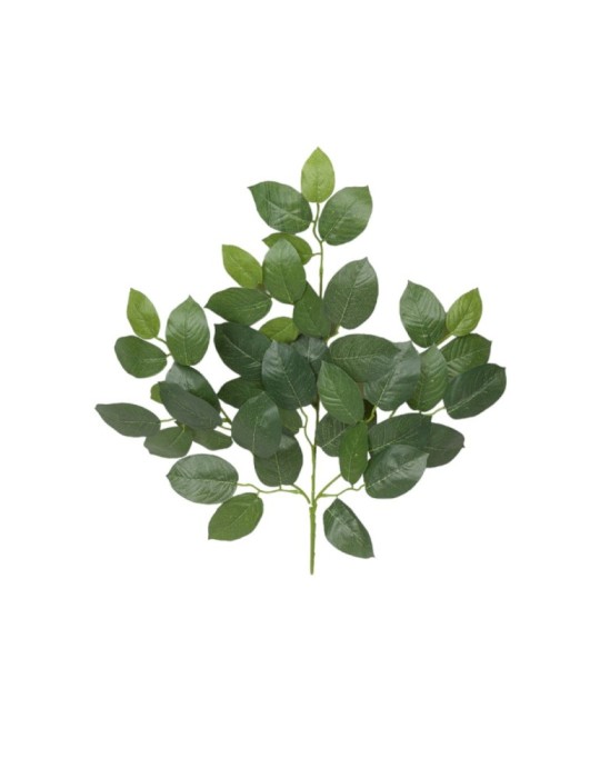 RAMO FOGLIE MELO CM60 GREEN