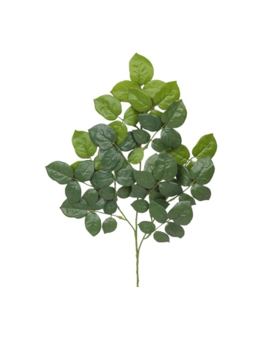 RAMO FOGLIE ROSA CM65 GREEN