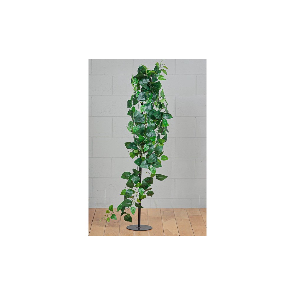 POTHOS CADENTE X219 GREEN