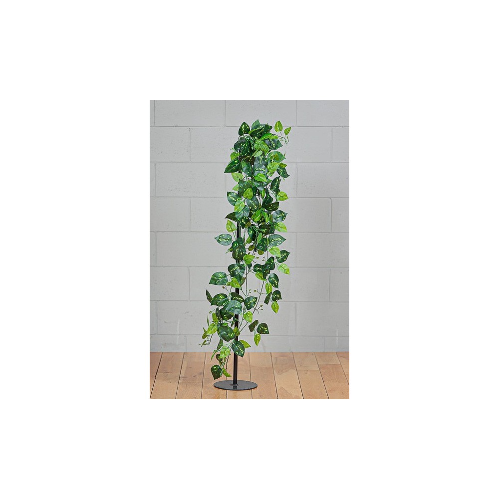 POTHOS CADENTE GREEN