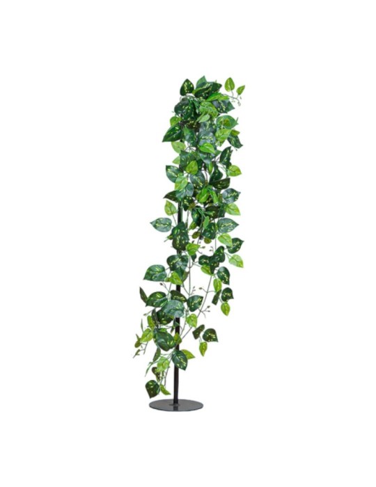POTHOS CADENTE GREEN