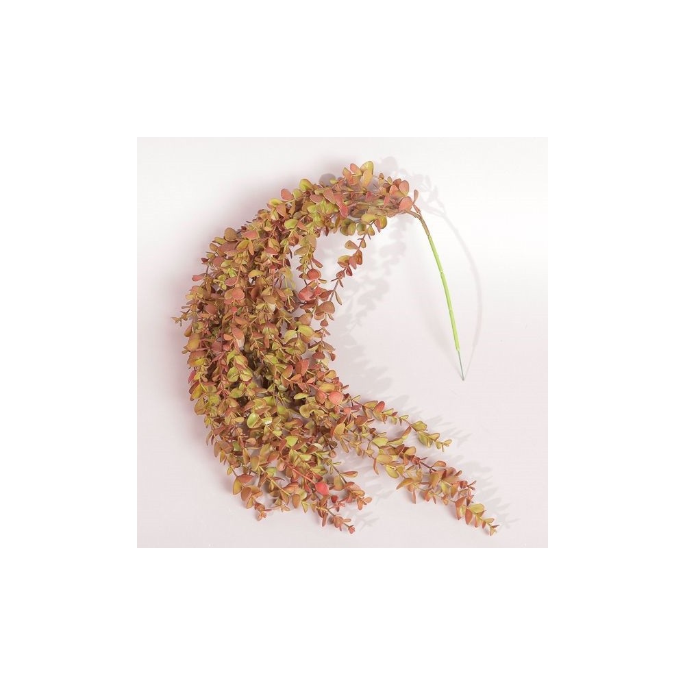 MAZZO CADENTE EUCALIPTO CM90