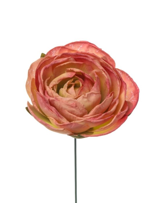 PICK RANUNCOLO MAUVE