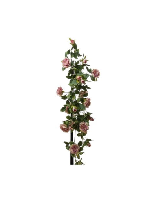 CADENTE ROSE CM.110 PINK