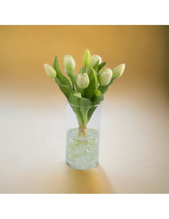 BUSH TULIPANO X7 CREMA