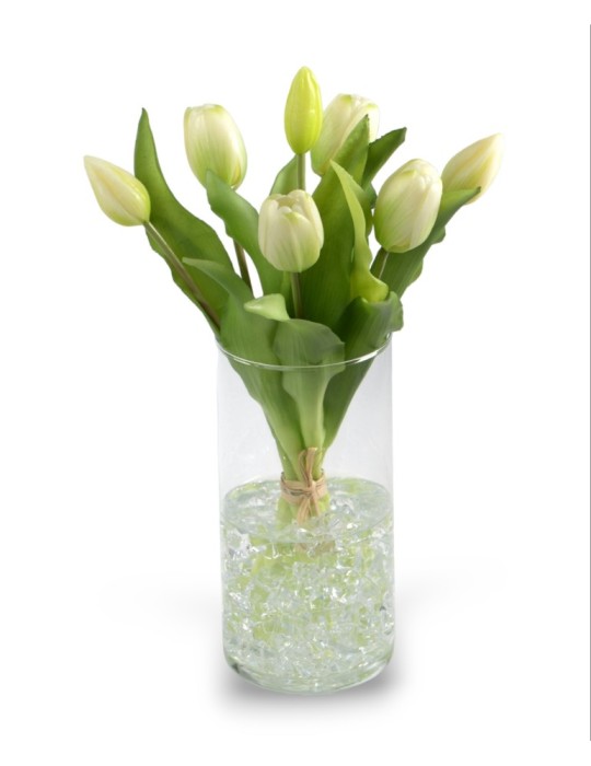 BUSH TULIPANO X7 CREMA