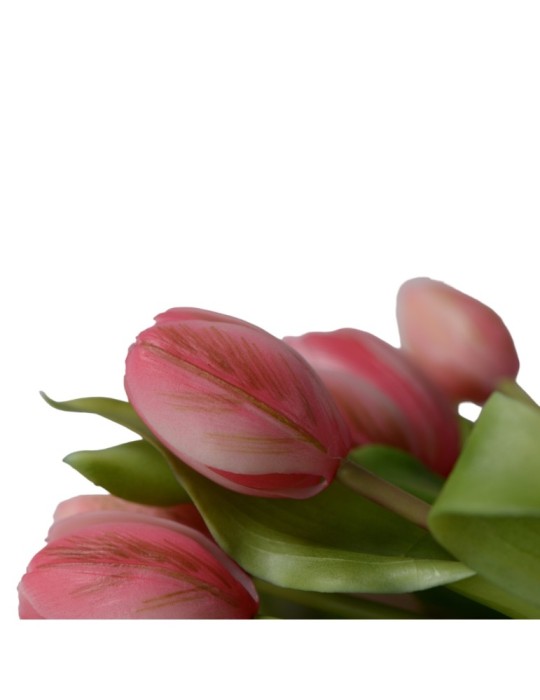 BUNDLE TULIPANI X7 GREEN PINK REAL TOUCH