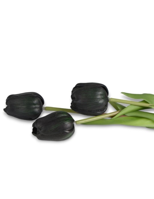 TULIPANO REAL TOUCH NERO