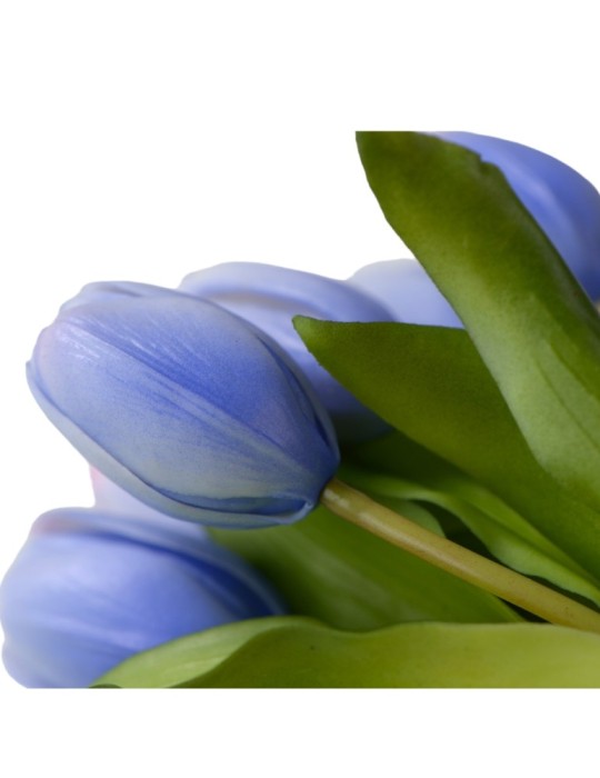 REAL TOUCH TULIP BUNDLE X5 LT BLUE