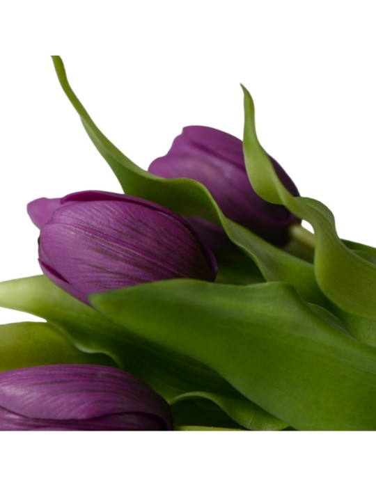 REAL TOUCH TULIP BUNDLE X5 LT PURPLE