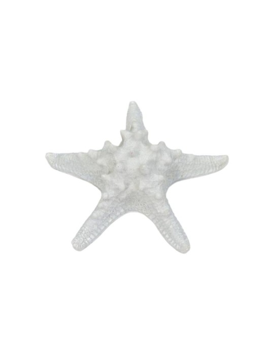 STELLA MARINA 16X16X4 BIANCA