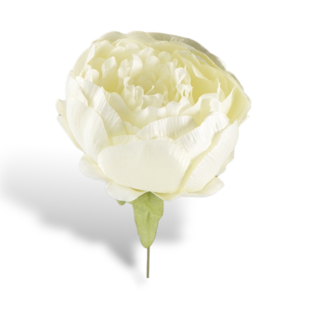 PEONIA WHITE STELO 10CM