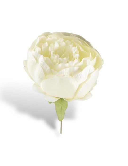 PEONIA WHITE STELO 10CM