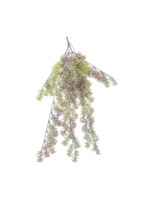 CADENTE MUSCHIO CM65 GREY GREEN