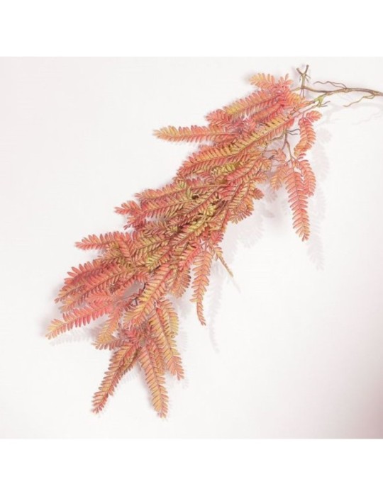 MAZZO CADENTE ACACIA CM112