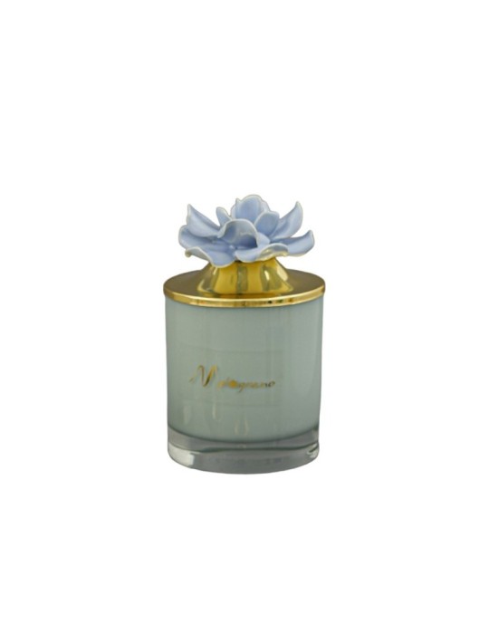 CANDELA FIORE AVION CON BOX 8.8X14.8H