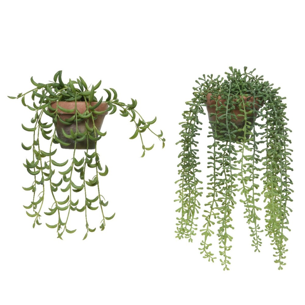 PIANTA CON VASO 2 ASSORTITE GREEN