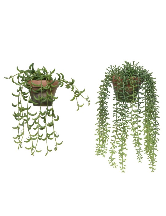 PIANTA CON VASO 2 ASSORTITE GREEN