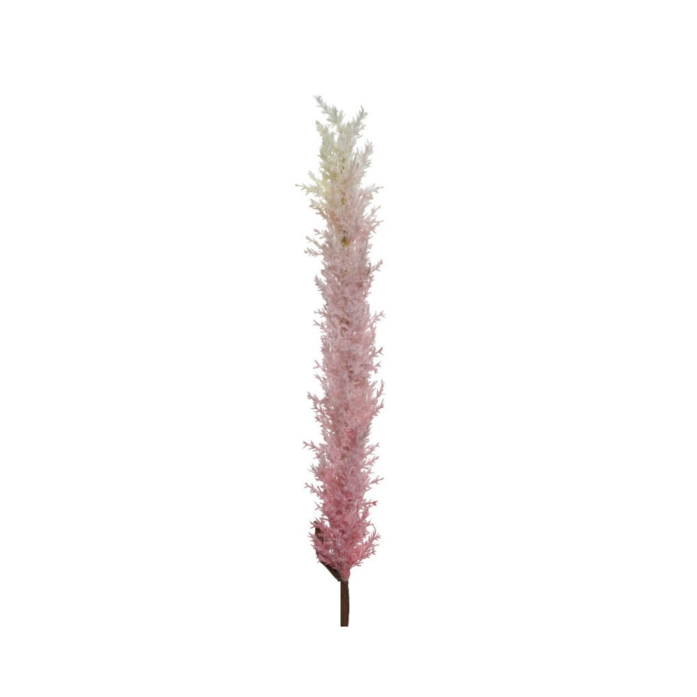 PAMPAS PINK H110 CM