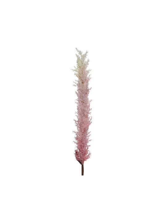 PAMPAS PINK H110 CM