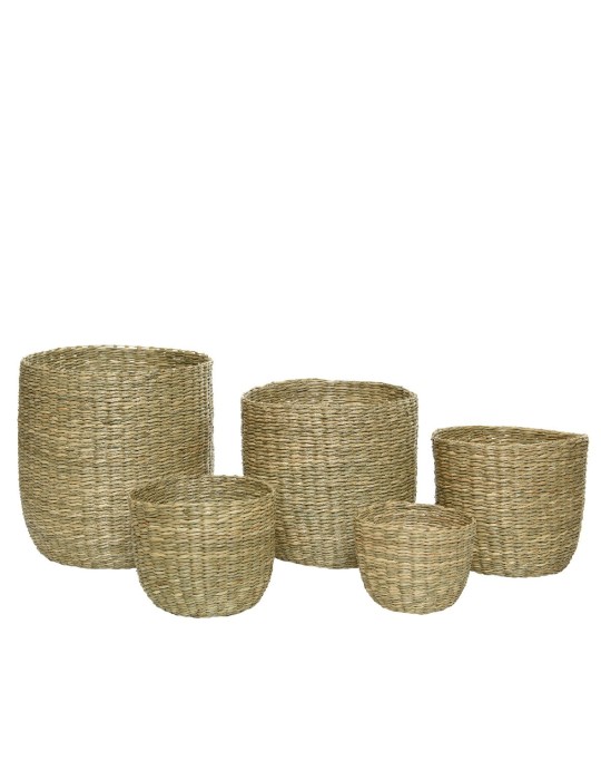 CESTI IN ERBA MARINA INTRECCIATI