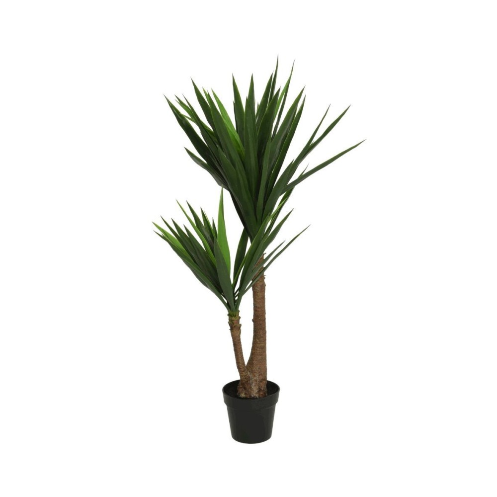Yucca IN VASO 122 CM