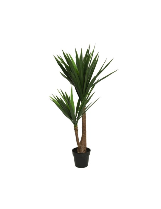 Yucca IN VASO 122 CM