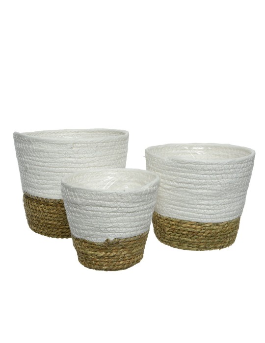 SET 3 P PIANTE D20XH17 WHITE