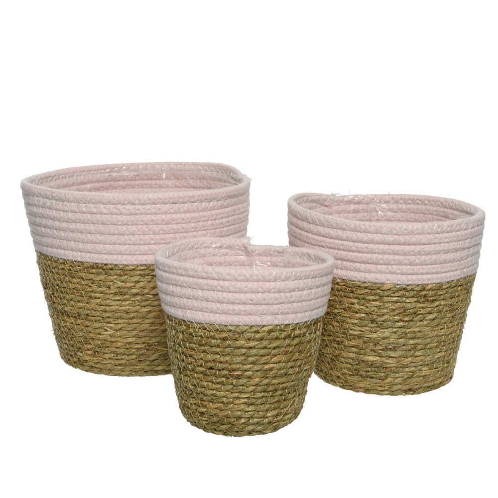 SET 3 P PIANTE PINK D20XH17 CM