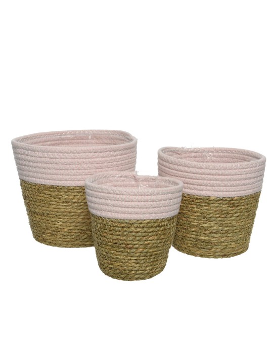 SET 3 P PIANTE PINK D20XH17 CM