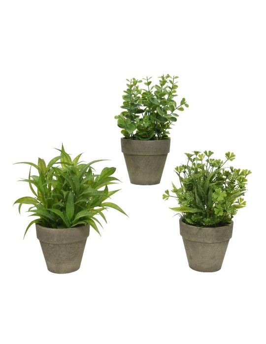 PIANTINA 3ASSORTITI IN VASO H25 CM