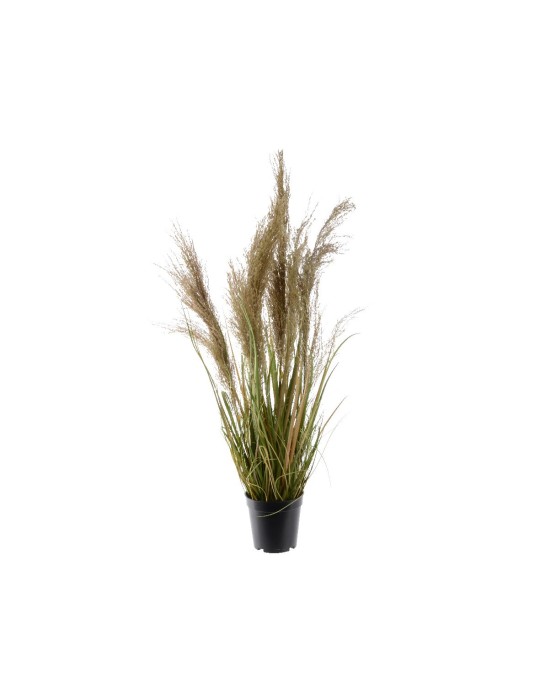 PIANTA DI PAMPAS H115 CM GREEN
