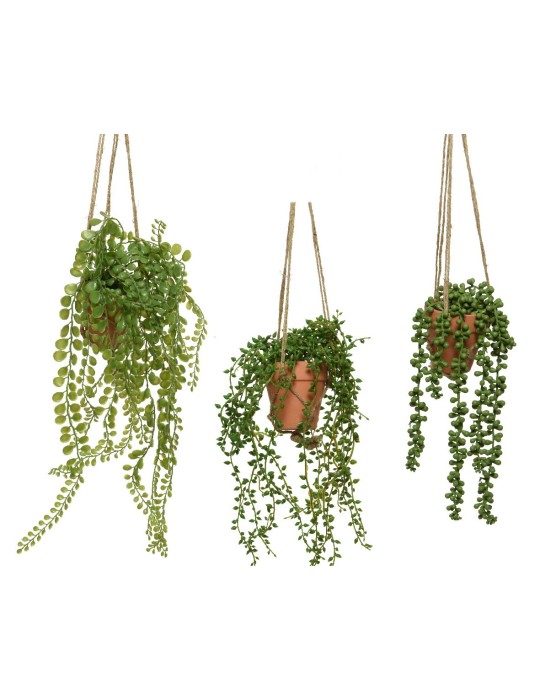 PIANTINA PENDENTE IN VASO 3ASSORTITE  H40 CM