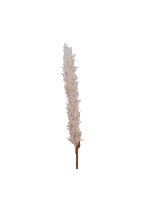 PAMPAS GRASS CREAM H110 CM