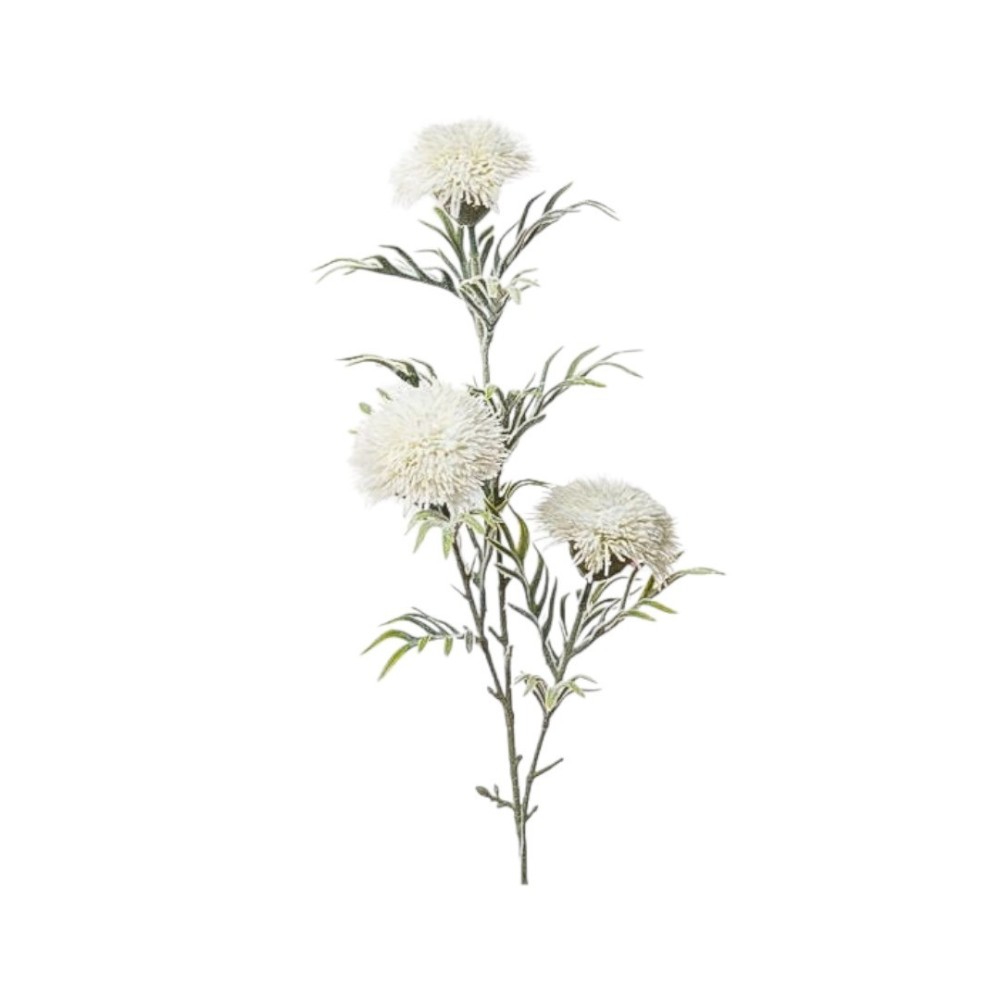 RAMO PON PON CM 75 CREAM