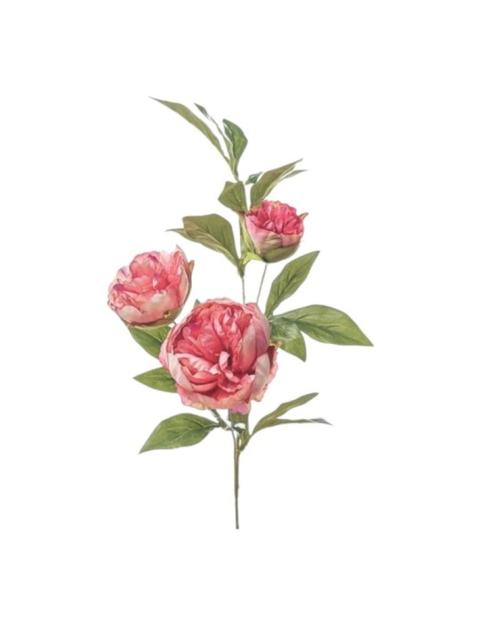 RAMO PEONIA X3 CM80 BEAUTY