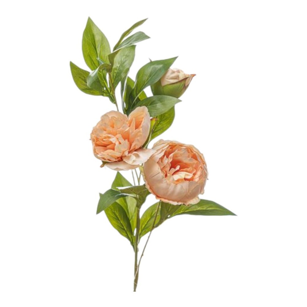 RAMO PEONIA X3 CM80 PEACH