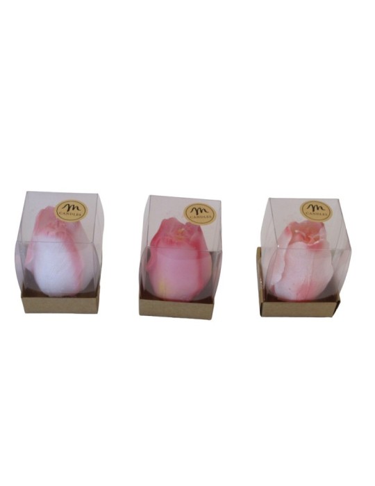 CANDELA TULIPANO ROSA